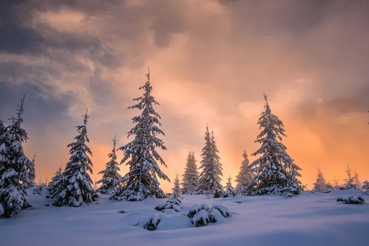 Clujul are cele mai frumoase locuri pe care trebuie neapărat să le vezi și iarna: Topul destinațiilor care îți vor tăia respirația. Nu le poți rata!