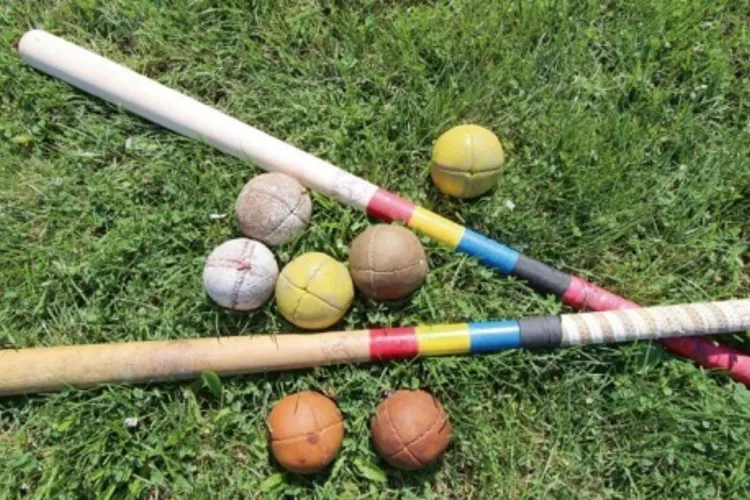 Sportul național românesc se reinventează: Clujenii și japonezii se „întrec” într-o competiție multiculturală unică. Vezi detaliile evenimentului