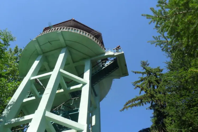 Cine este femeia care s-a aruncat din turnul Grădinii Botanice din Cluj-Napoca. Femeia, în stop cardio-respirator, resuscitată de medici