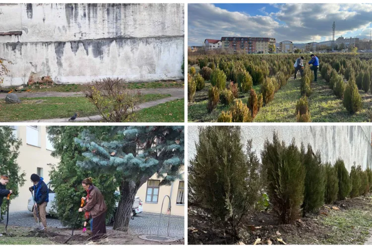 Ingeniozitatea la ea acasă: Cum s-a transformat un zid interior al Muzeului Etnografic al Transilvaniei din Cluj-Napoca: „Un plan bine făcut!”