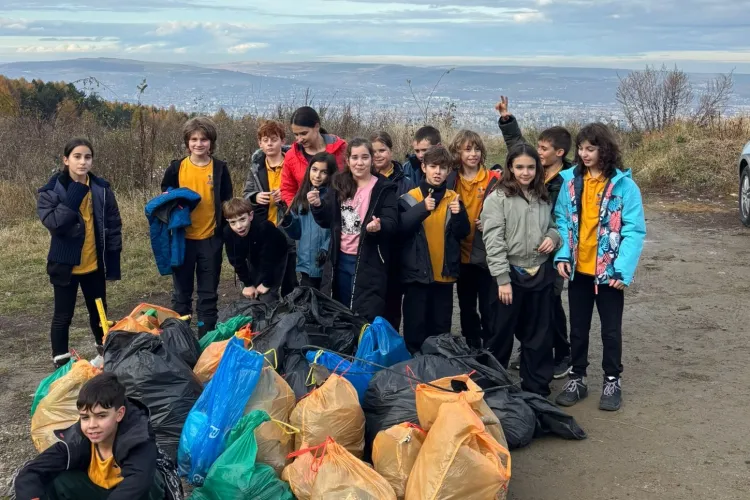 Exemplu de tineri care schimbă lumea: Cercetași clujeni strâng moloz și geamuri sparte în pădurea de pini din Cluj