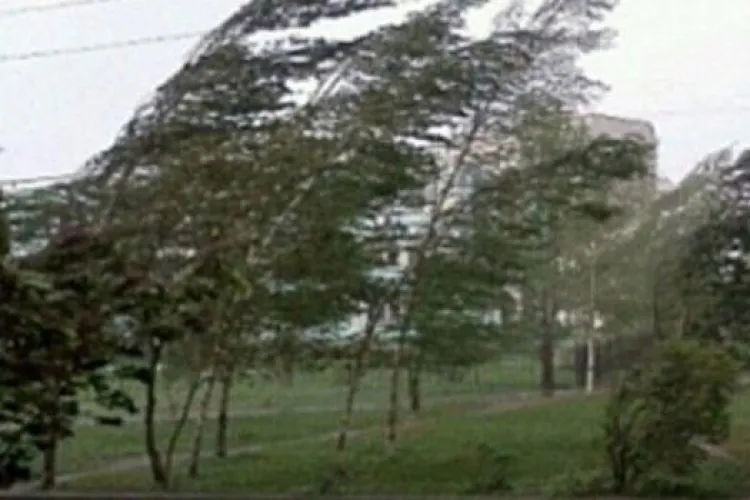 Avertizare meteo în Apahida: Vânt puternic începând cu ora 12.00. Până când ține avertizarea 