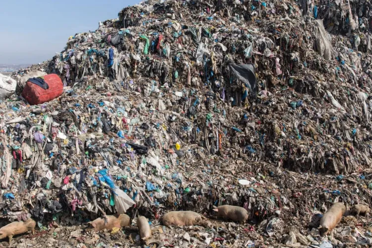 Clujenii sunt exasperați și acum de mirosul de gunoaie arse de la Pata Rât: „Cât mai suportăm bătaia asta de joc în așa-zisul Cluj de 5 stele?”