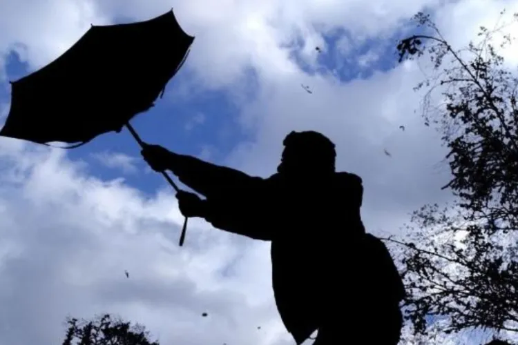 Alertă meteo Cluj! Vânt puternic loveste zona: Rafale de până la 50 km/h, iar munții din apropiere ating 100 km/h