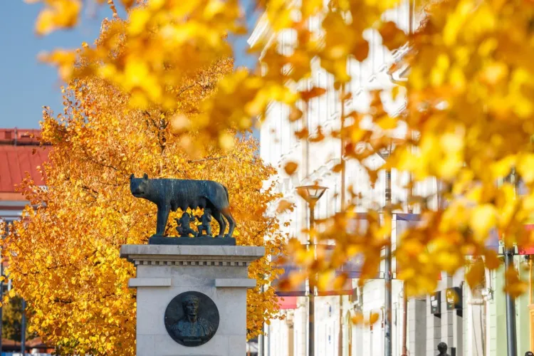 Se schimbă vremea brusc în Cluj: Ce trebuie să știe clujenii despre temperaturile de astăzi, în special despre „valul” de ceață care a lovit județul