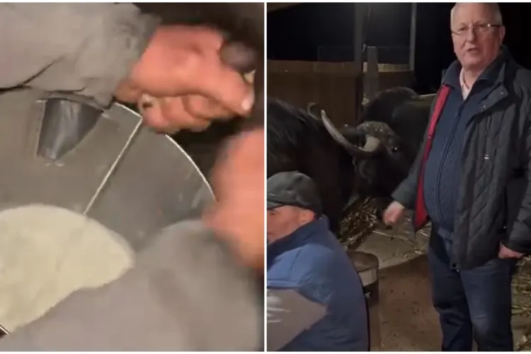 VIDEO. Vizită surpriză a deputatului clujean Remus Lăpușan, la o fermă de bivolițe: „Așa arată munca făcută cu suflet și tradiție”