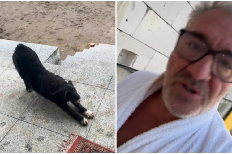VIDEO. Nelson Mondialu și-a pus fanii în cap după ce a anunțat că vrea să o arunce în stradă pe cățelușa Negruța. Ce l-a enervat pe influencer