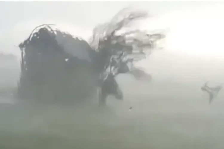 Alertă meteo în Cluj! Meteorologii au anunțat COD GALBEN de vânt puternic. Rafalele pot atinge 120 km/h 