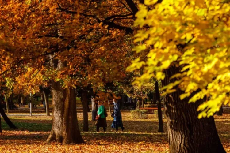 Temperaturile de iarnă încep să se simtă la Cluj: Cum arată prognoza meteo pentru ziua de azi și ce ne așteaptă săptămâna aceasta
