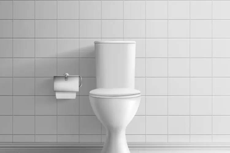 Astăzi, Clujul sărbătorește...toaleta! Compania de Apă Someș ne atrage atenția asupra faptului că „toaleta nu este un lux, ci un drept fundamental”