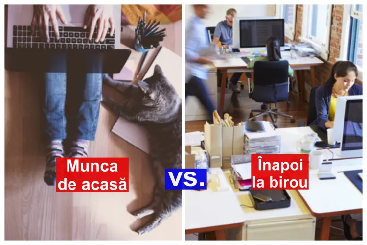 Înapoi la birou? „Nici mort. Nu-mi dau parcare, cafeaua e mediocră, stau la rând la baie” – Cum sabotează corporatiștii firmele ca să lucreze de acasă