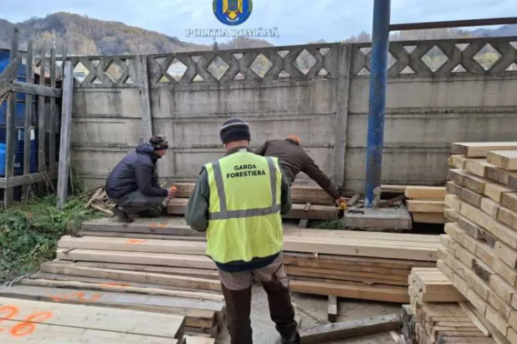 Hoții de lemne, arși la buzunare de Garda de Mediu! Polițiștii au scos la lumină nereguli masive 