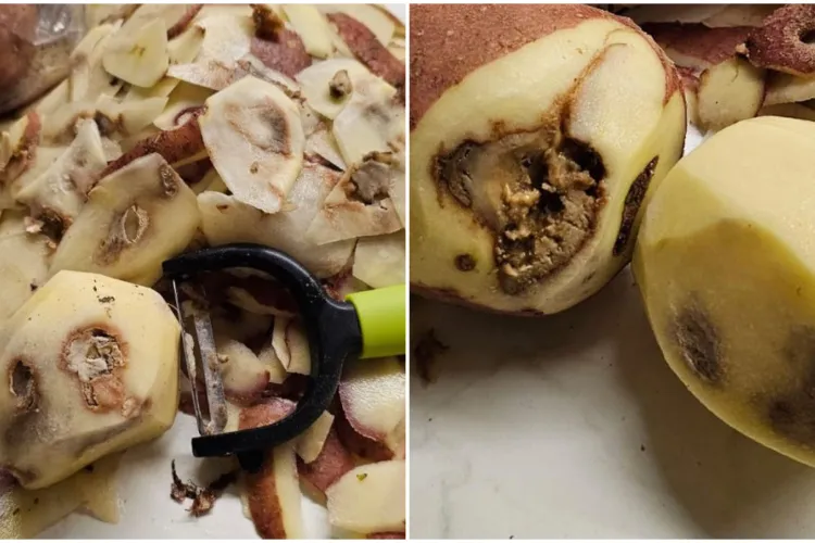 Supărare mare la Cluj pe modul în care sunt promovate produsele „românești”, în unele din marile lanțuri de magazine: „Așa ceva nici la porci nu dai!