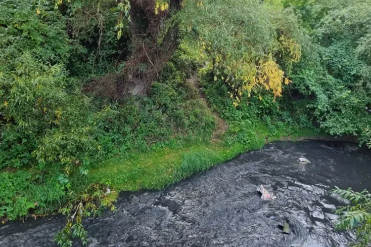 Un bărbat acuză Primăria că ignoră o situație care-i nemulțumește pe mulți clujeni. Zona ar fi devenit un „WC public”: „Zona nu e supravegheată”