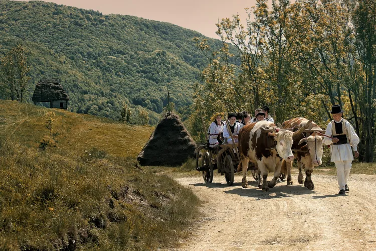 Imagini care îți taie răsuflarea! Clujul celebrează 161 de ani de fotografie cu dezvăluiri spectaculoase din satele românești