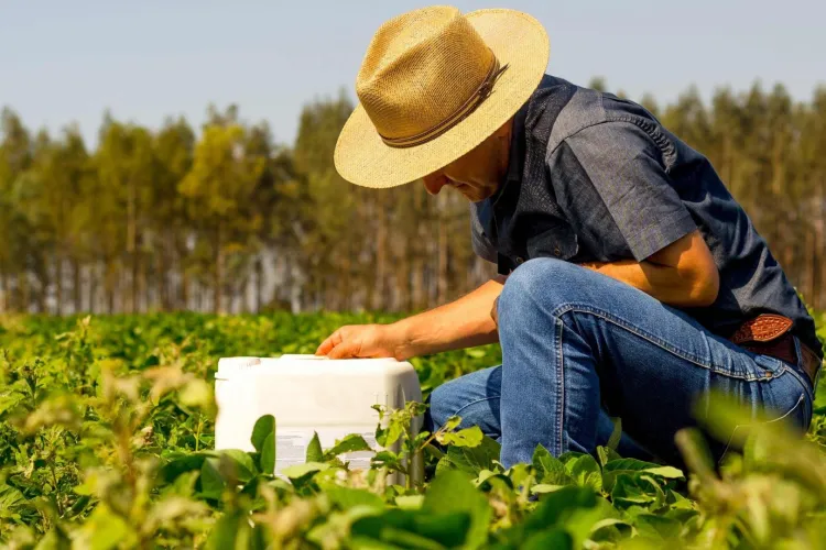 Agricultorii care au cotizat înainte de ’90 prin „cotele la stat”, vizați de o nouă lege: Ar putea primi în sfârșit pensia meritată
