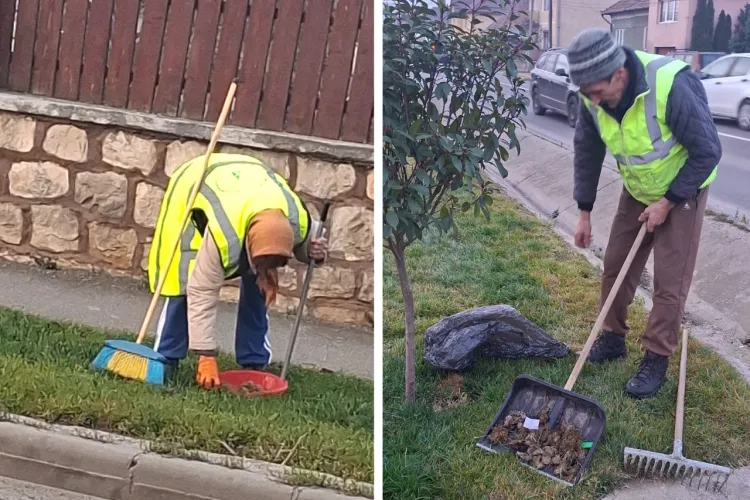 Fii un stăpân responsabil! Poliția Locală Apahida îi avertizează pe proprietarii de animale: Curățenia în comună e obligatorie, amenzile vin rapid!