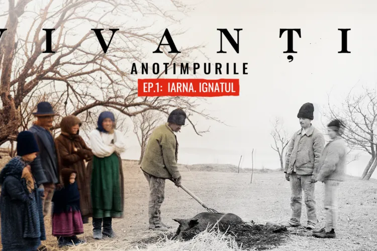 Sărbătoarea Ignatului la Muzeul Etnografic din Cluj: Obiceiuri legate de tăierea și pomana porcului, colindători, taraf. O sărbătoare ca la bunici!