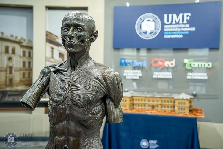 Comori medicale ascunse sute de ani pot fi văzute la Cluj! UMF dezvăluie tratate de anatomie care au schimbat medicina modernă