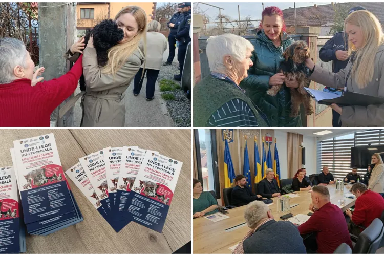 Instituții importante din Cluj au ieșit pe teren și și-au unit forțele pentru a gestiona problema câinilor din județ: Ce măsuri importante se vor lua