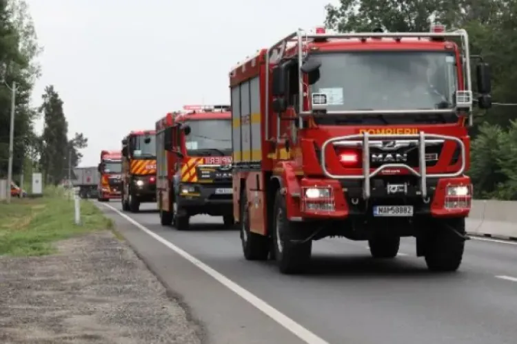 Un TIR cu aproximativ 200 de porci vii s-a răsturnat pe un drum în Cluj! Pompierii intervin de urgență pentru acordarea primului ajutor șoferului 