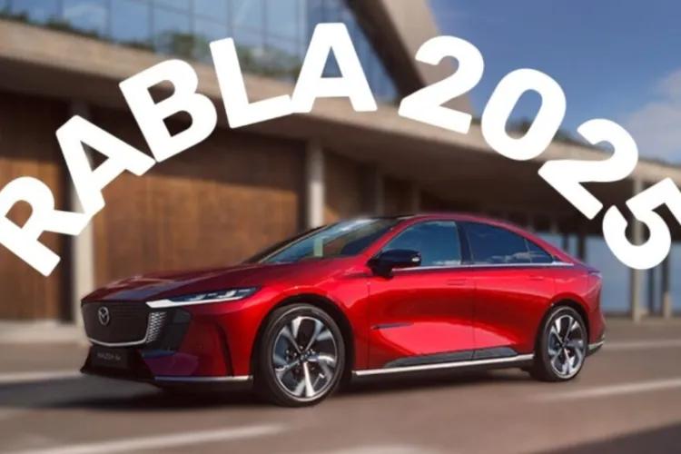 RABLA 2025, start cu interes uriaș în primele 24 de ore: Fondurile pentru mașini electrice aproape că s-au epuizat 