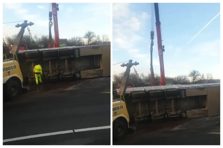 VIDEO | Imagini cu intervenția dramatică, extrem de dificilă, pentru ridicarea unui TIR răsturnat cu 200 de porci la Cluj. Trafic îngreunat, ore în șir