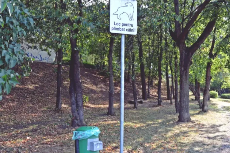 Un parc de câini îndrăgit de clujeni a ajuns focar de infecție: Clujenii îl aseamănă cu o groapă de gunoi. „De ce nu se curăță niciodată efectiv?”