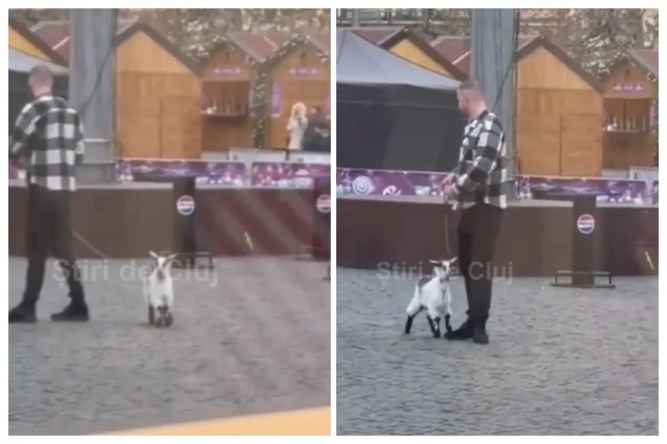 VIDEO.Un clujean a ieșit la plimbare cu un...ieduț adorabil la Târgul de Crăciun: „Mai amuzant e că s-a și asortat cu el. Nu putea țapul să rateze târgul” 