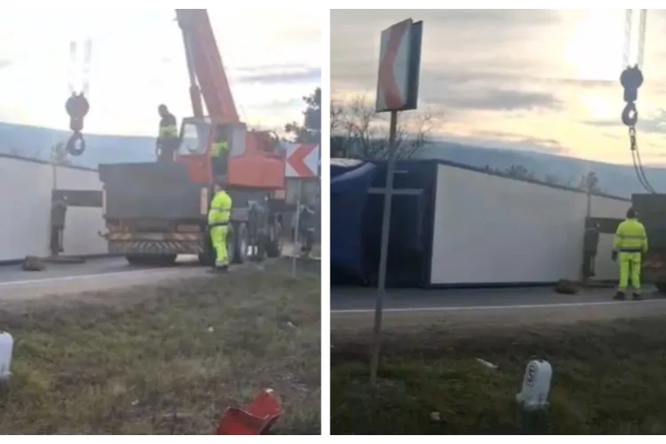 Un TIR cu aproximativ 200 de porci vii s-a răsturnat pe un drum în Cluj! Pompierii intervin de urgență pentru acordarea primului ajutor șoferului 