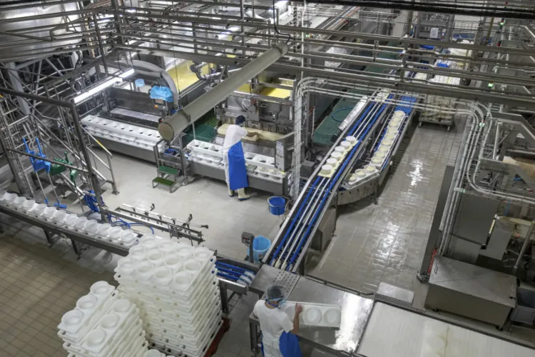 România ratează un proiect uriaș! O firmă gigantă a ales o altă țară din estul Europei pentru prima sa fabrică din zonă