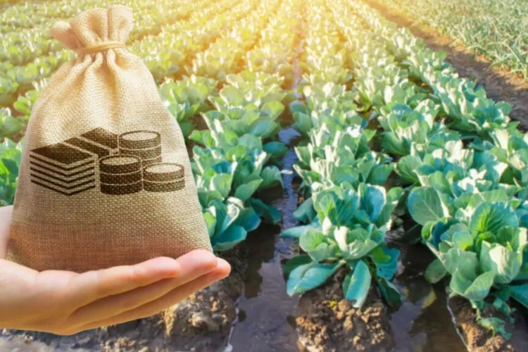 Un deputat clujean „atacă” și spune că acordul UE-Mercosur „este o șansă reală pentru economia României, nu un pericol inventat de populiști”