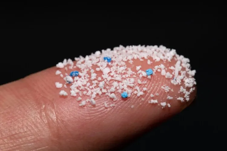 Microplasticele: „ucigașul tăcut” care le dă emoții oamenilor de știință. Cum ajung în creier, ce boli pot provoca și de ce ar trebui să ne temem