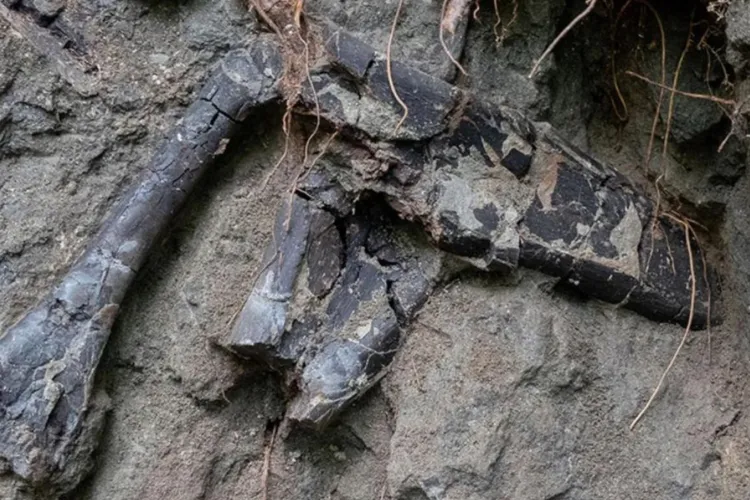 O nouă descoperire de excepție în Transilvania. Puține locuri din lume se compară cu situl K2. Oamenii de știință sunt șocați de ce au găsit