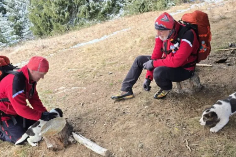 Salvamontiștii clujeni, intervenție neobișnuită! Doi cățeluși abandonați pe traseu, salvați în ultimul moment
