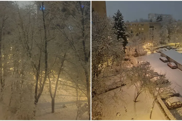 Clujenii se bucură de prima ninsoare adevărată a iernii. Nostalgie în cartierul Gheorgheni: „Cândva, mai demult, o imagine ca și asta era ceva normală”