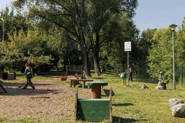 Doi cățeluși răniți într-un parc special amenajat pentru ei din Cluj! Supraaglomerarea echipamentelor și poarta stricată pun stăpânii în alertă