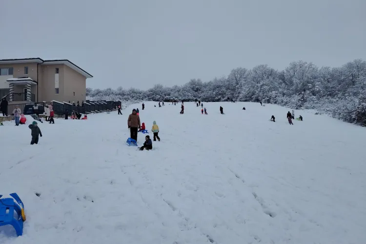 Clujenii au scos săniile din debara! Unde se poate da cu sania lângă Cluj? „Aveți recomandări?”