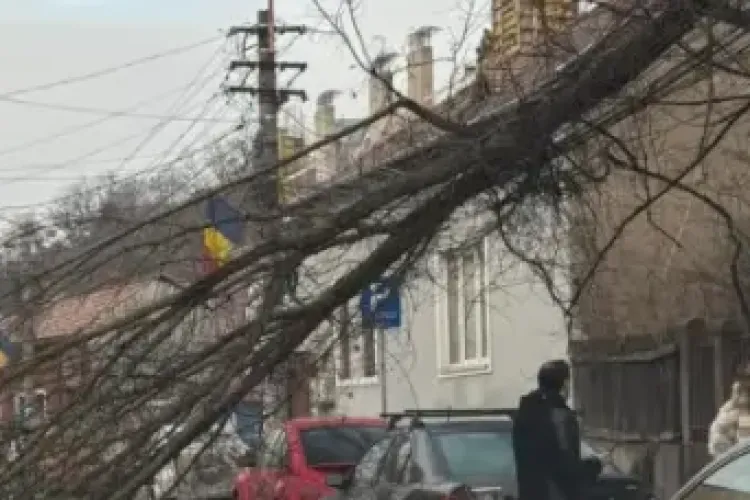 Pericol pe străzile din Cluj-Napoca! Vremea extremă doboară copaci! E COD PORTOCALIU de vânt puternic 