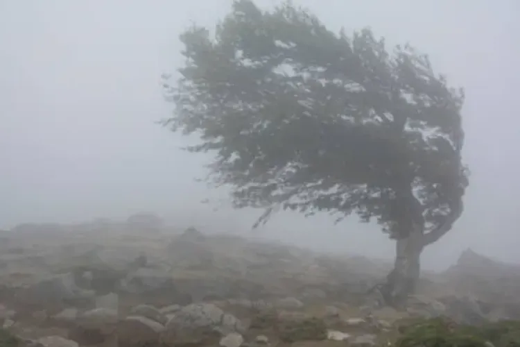 Clujul, sub Cod Galben și Cod Portocaliu de vânt puternic și viscol. Meteorologii trag un semnal de alarmă 