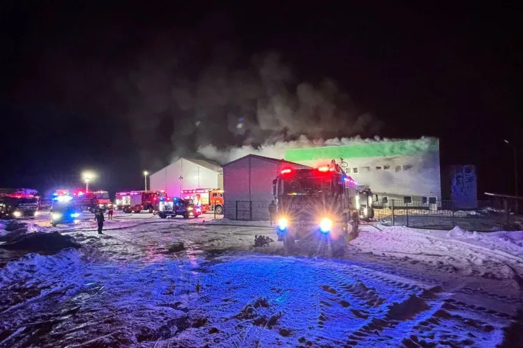 Incendii violente și intervenții ca-n filme în Cluj: O fabrică de paleți a fost mistuită de flăcări, iar o plăcintărie a ars din temelii