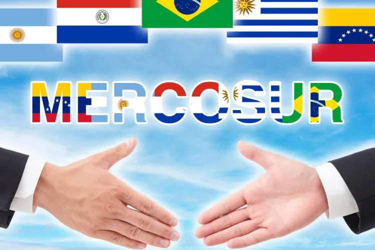 Moment istoric în comerțul internațional: UE și Mercosur semnează un acord după 25 de ani de negocieri. Reacția deputatului Remus Lăpușan