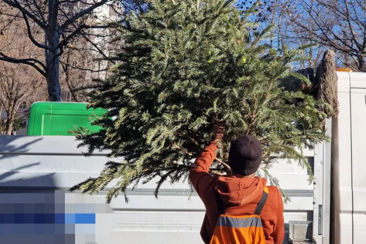 Important pentru locuitorii din Apahida: Scoateți în seara asta brazii la poartă pentru a fi preluați de Supercom!