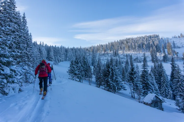Spectacol pe zăpadă la Vlădeasa! Cea de-a VII-a ediție a Cupei aduce sportivi de top și amatori pe pârtie pe 21 februarie 2026
