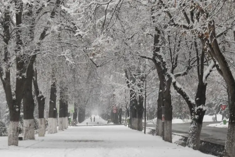 Vremea se mai domolește pentru o zi în Cluj, dar riscurile rămân: Creșteri de temperatură, precipitații mixte și polei în mai multe zone din țară