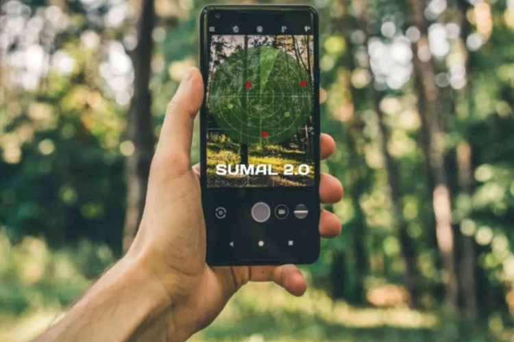 Ministerul Mediului face curățenie în pădurile din România: Transporturile ilegale de lemn nu vor mai putea fi ascunse pe traseu