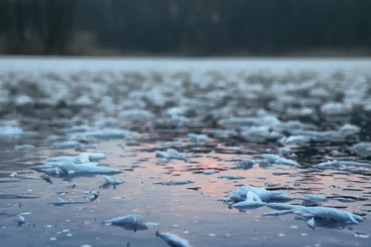 Clujeni, atenție la pericolul apelor înghețate! Părinții trebuie să își supravegheze copiii: „Un moment de joacă inofensiv se poate transforma în tragedie”