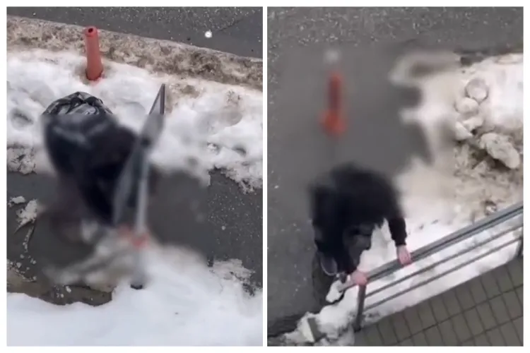 VIDEO dramatic. Tânăr clujean sub influența substanțelor filmat pe stradă, în timp ce nu mai știe pe ce lume e! Oare de ce vă faceți singuri așa ceva? 