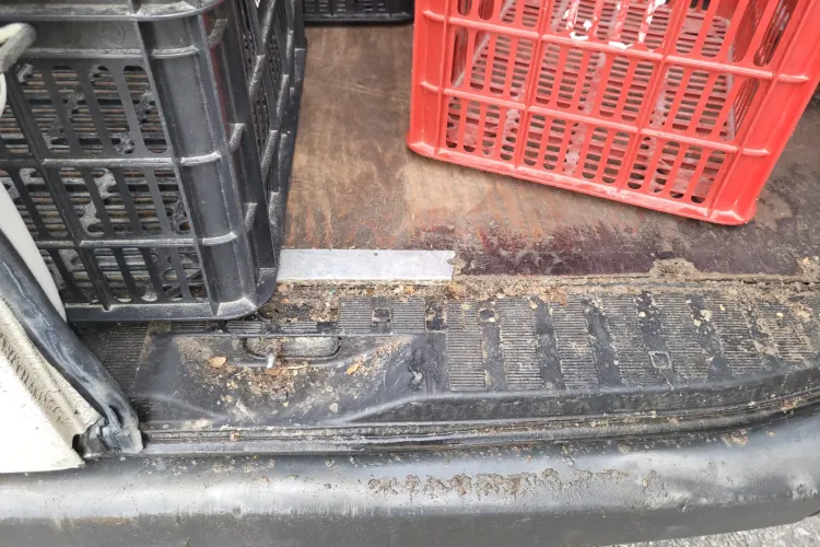 Așa e transportată mâncarea către magazinele clujene? Transporturi de mâncare și alcool în condiții scandaloase descoperite de DSVSA