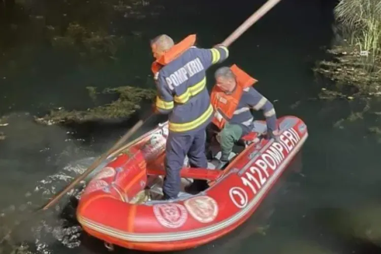 Durere fără margini! Doi frați de 6 și 9 ani au murit în apa înghețată a unui pârâu. În trecut, familia a mai pierdut doi copii din cauza pneumoniei 